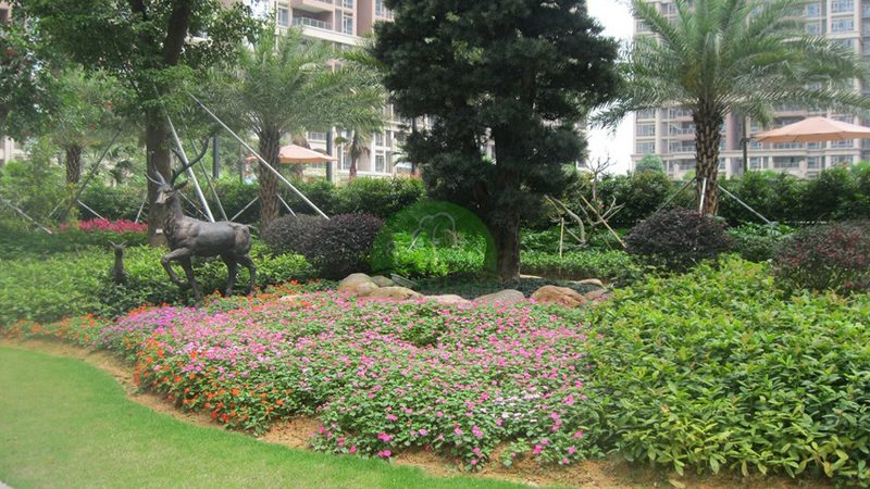 2025年苗木种植基地批发价格解析：市场动态与选购要点**