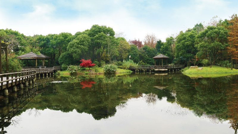商业广场园林景观验收标准全解析