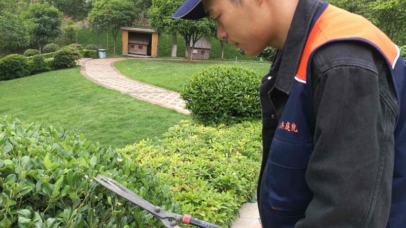 现代别墅花园设计风格对比：从自然到现代的演变