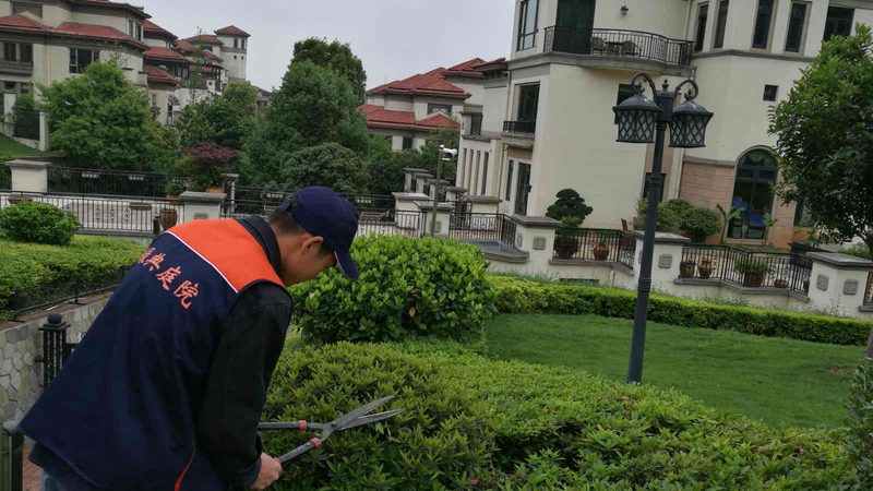 专业草坪养护设备：守护城市绿地的“隐形英雄