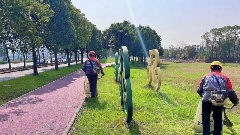 市政绿化草坪品牌排名，如何选择优质供应商？**