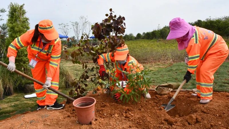 中式园林景观设计标准规范全解析