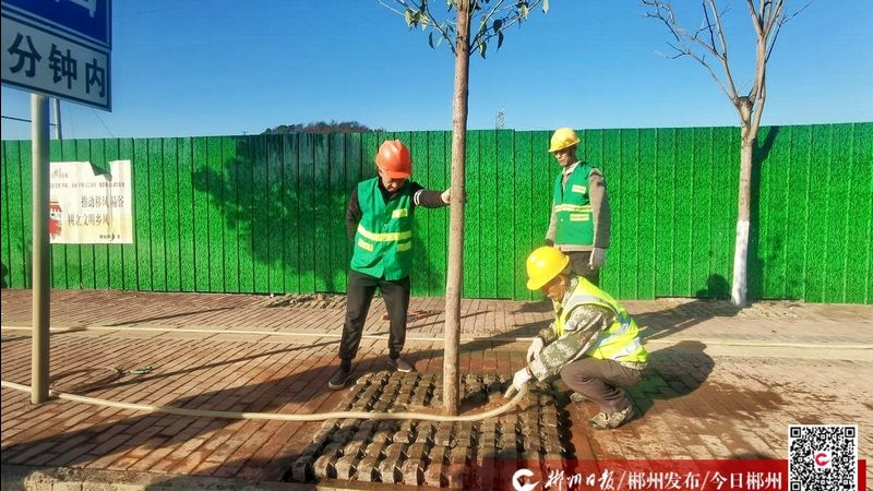 花卉租摆：安装维护费用背后的考量因素**