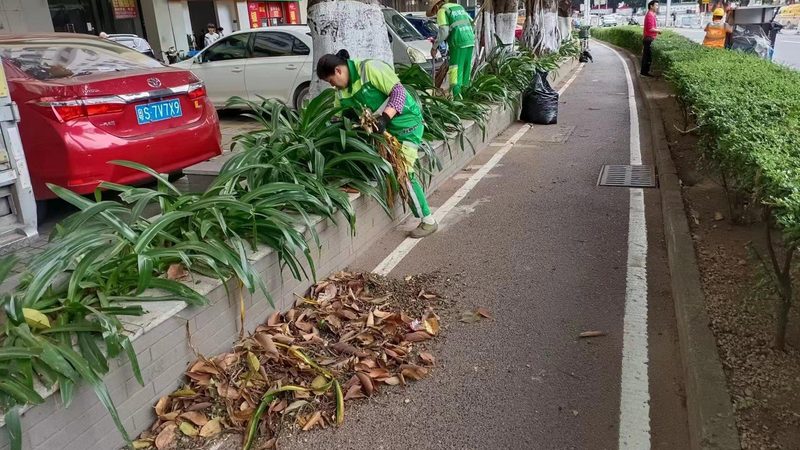 高尔夫球场绿化养护设备：如何科学选择与维护**