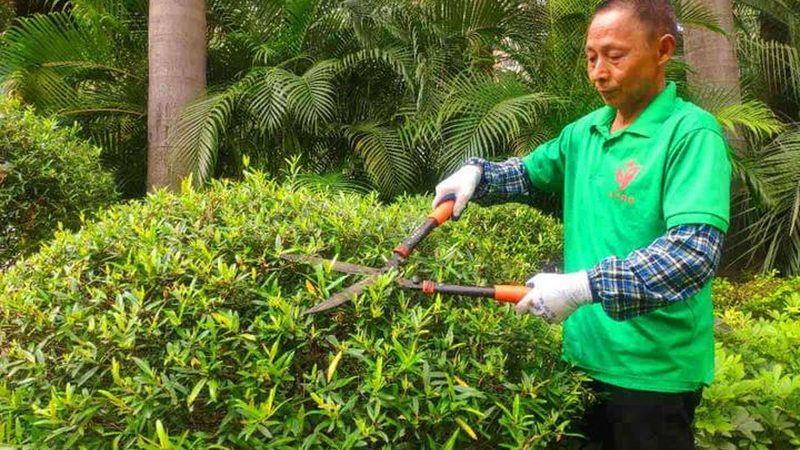 绿化资质乙级与甲级费用差异解析**