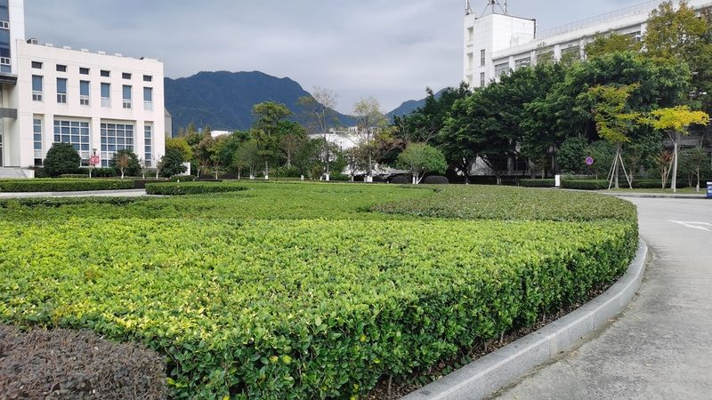 别墅花园设计：如何避免掉入设计陷阱**