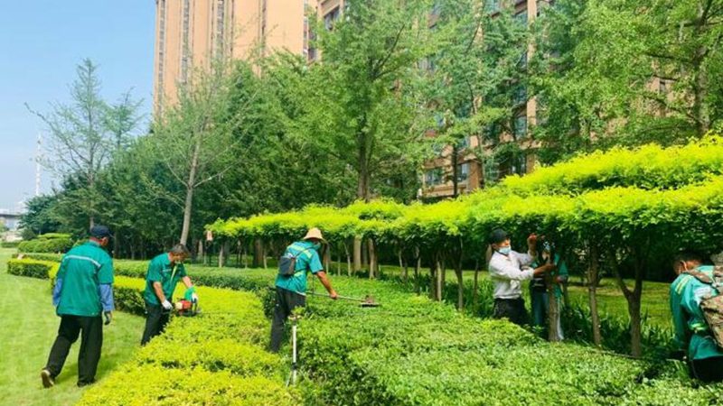 园林景观设计报价清单明细：揭秘报价背后的关键因素**