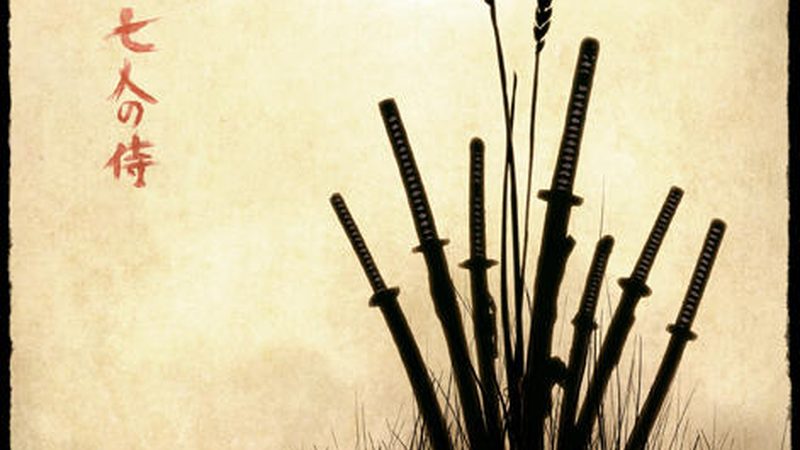 苗木种植与扦插：成本背后的考量**